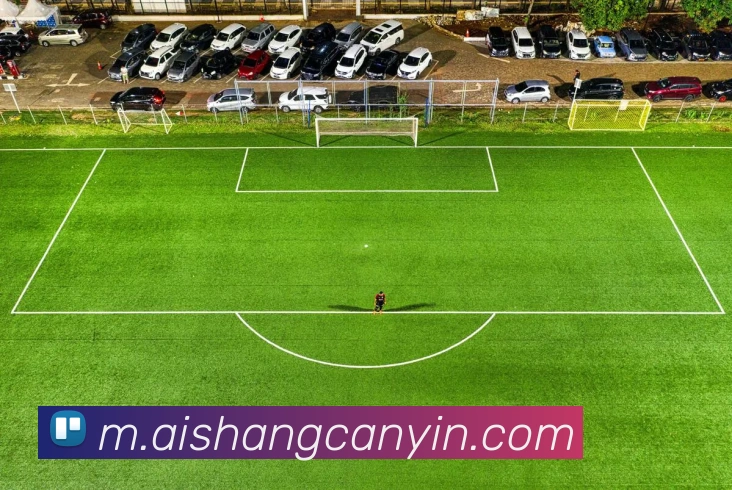 乐鱼体育官方网站服务体系