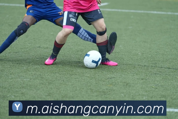 乐鱼体育官方网站APP 体育赛事宣传图